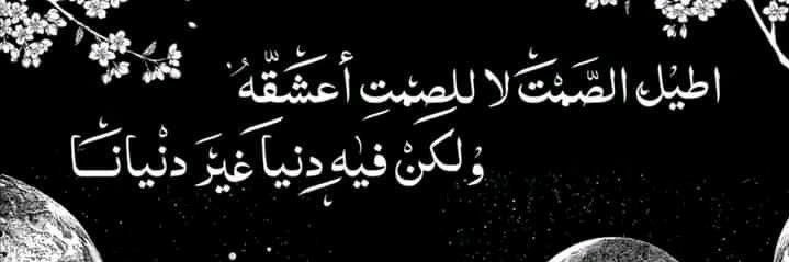 Ahmed banner