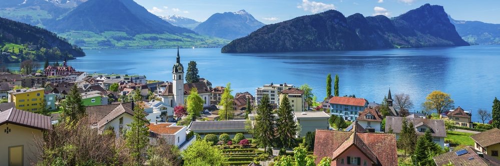 Toon 🏴‍☠️ banner