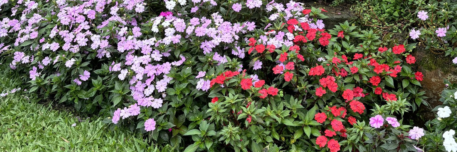 ・❥・ larase banner