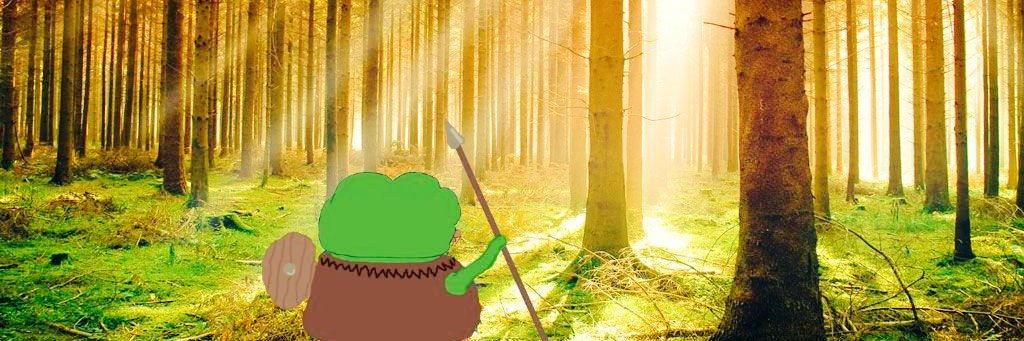 King Wolicki 🍥 banner