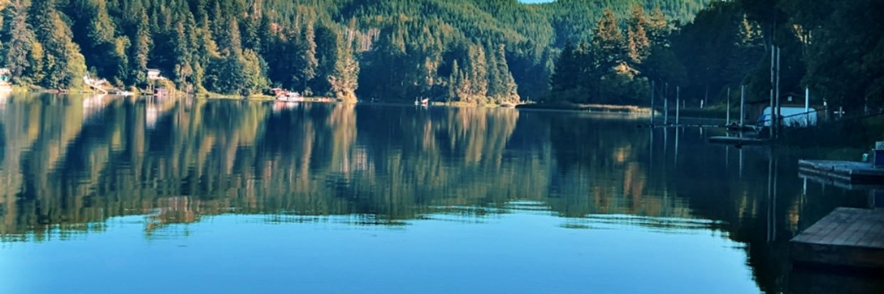 Jamie Mccarty banner