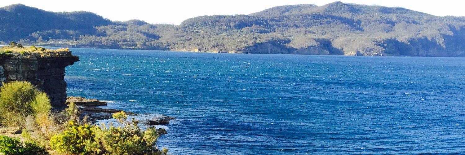 ShSalmon's profile banner image
