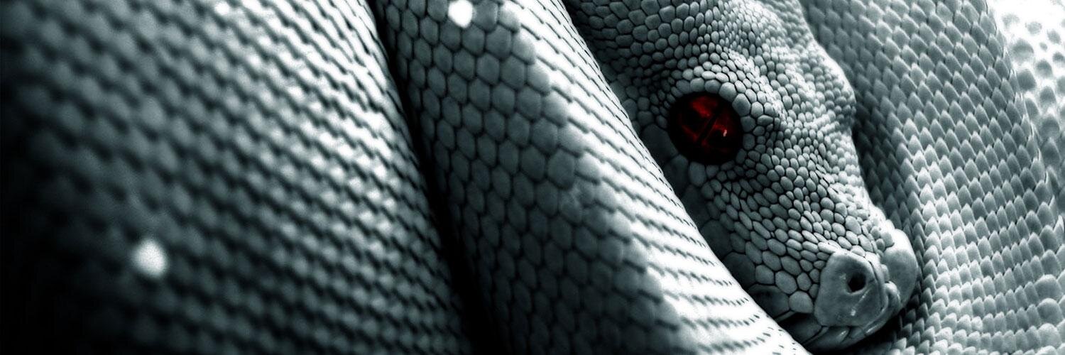 Nicolas Crocfer banner