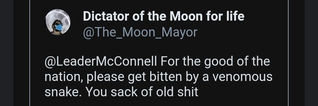 TheMoonMayor Master Special, Private Eye (parody) banner