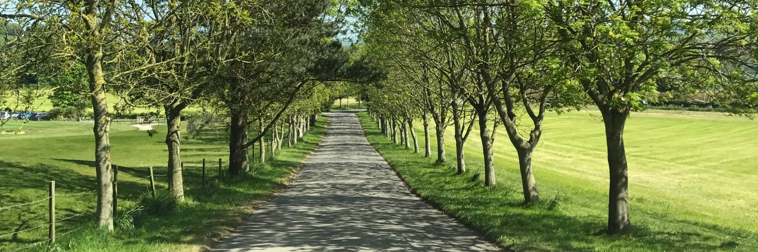 InterpretingPathways banner