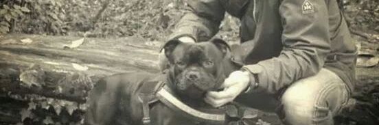 Dick van Bekkum banner