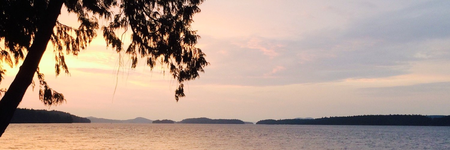 theHarobot's profile banner image