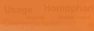 Orthophore banner