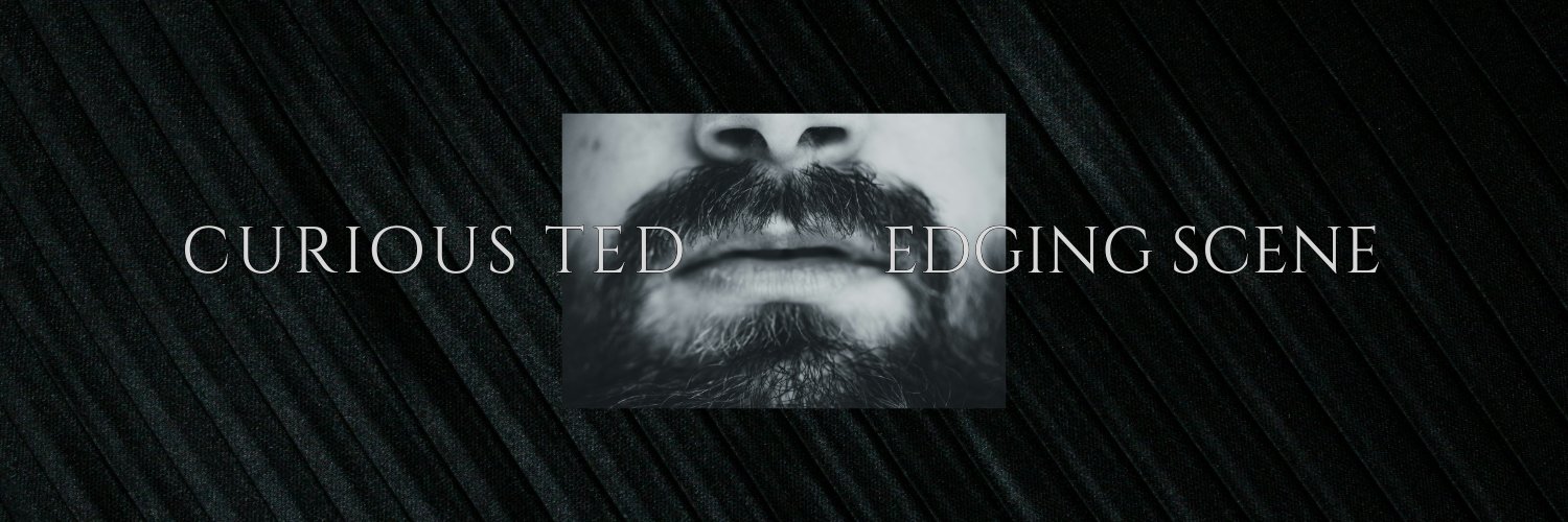 CuriousBear2's profile banner image