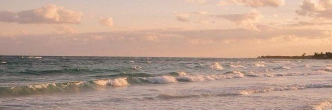 behlul235's profile banner image