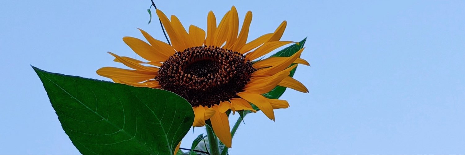 YOU_0614_'s profile banner image