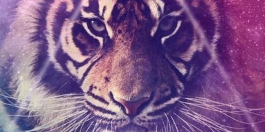 Fari_idha's profile banner image