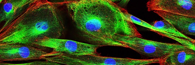 News Life Sciences banner