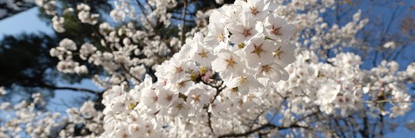 andjun11 Profile Banner