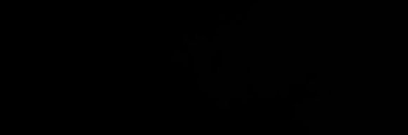 Piotr Stanisław Iwańczyk's banner