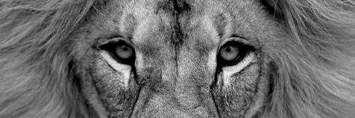 kudagucci's profile banner image