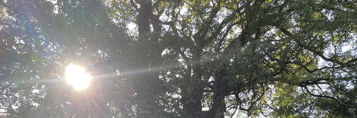 Melopsittacus4's profile banner image