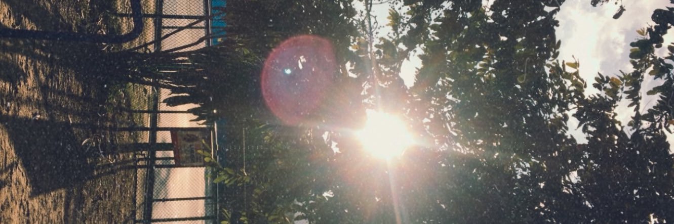 Liteonitz's profile banner image