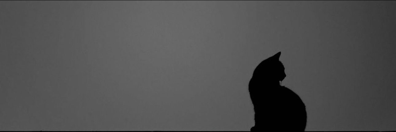 waffa8i's profile banner image