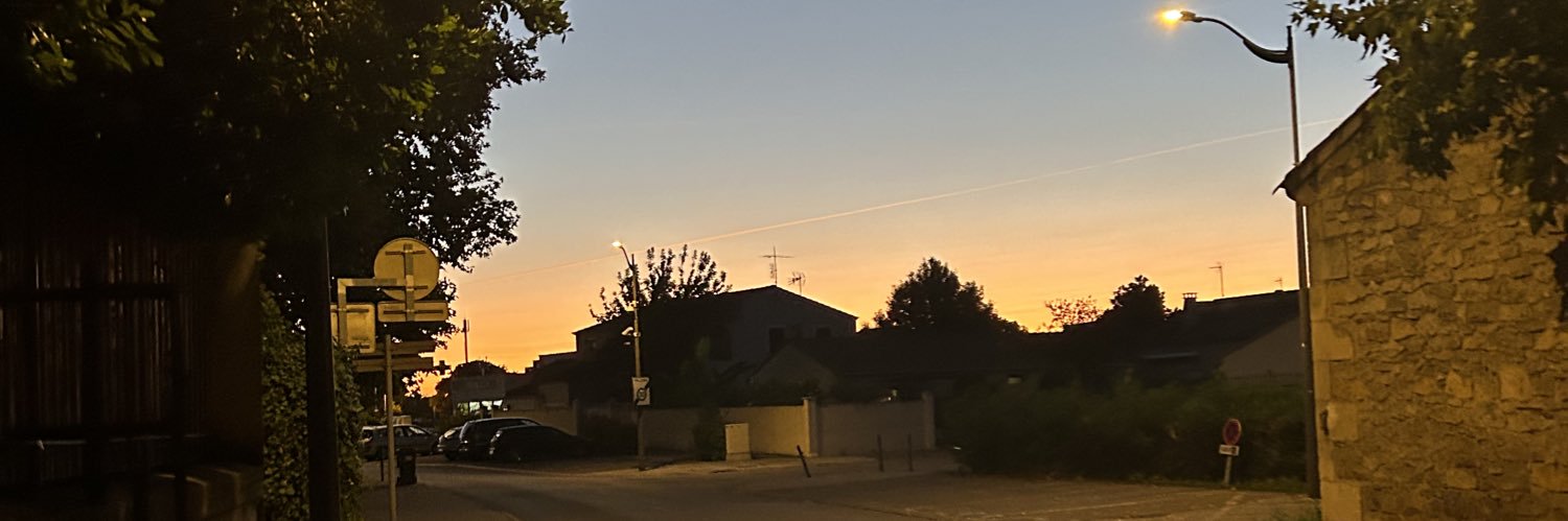 mathys 🇫🇷🇵🇸 ⏚ banner