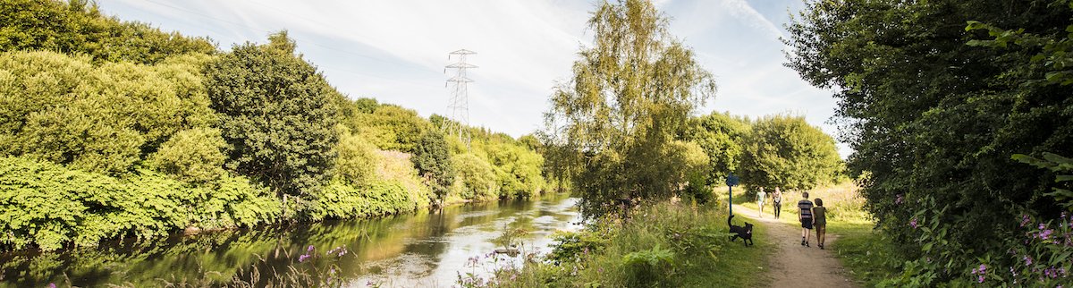 Northern Forest banner