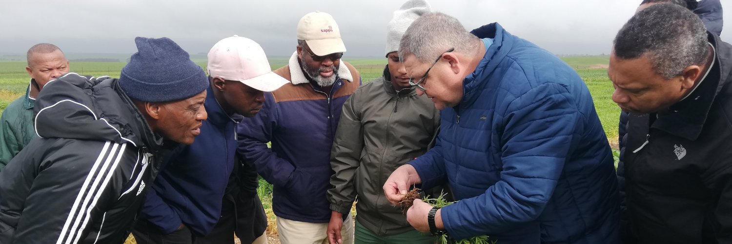 Grain SA Farmer Development Programme banner