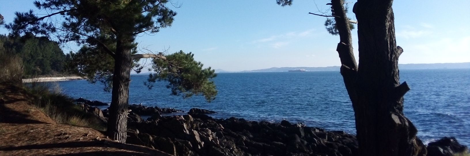 ViloVilo's profile banner image