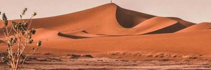 0FH__'s profile banner image