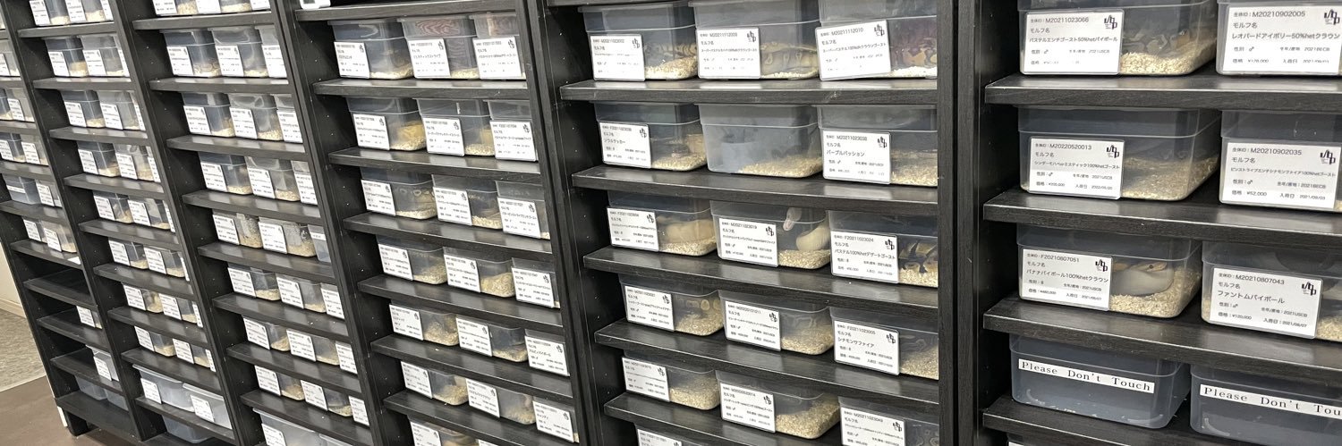 vbp / vision of ball python banner