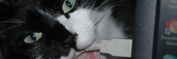 Sharon Hooper (She/Her/Them) banner