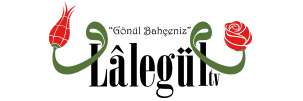 hkosteli's profile banner image