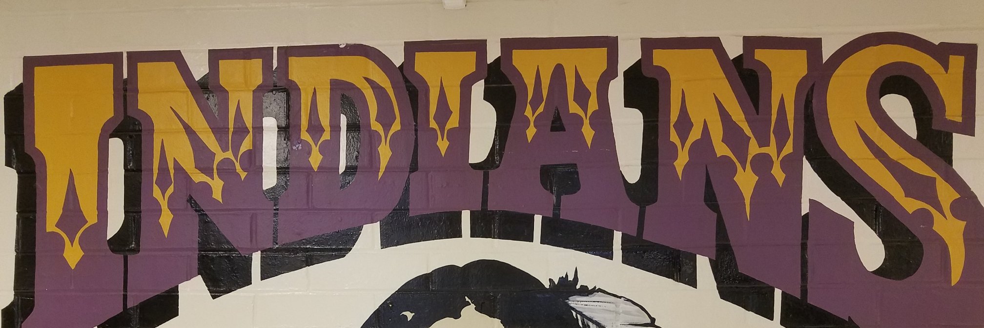 ECMS Indians banner