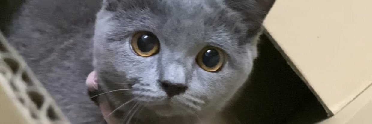heatenthalpy's profile banner image