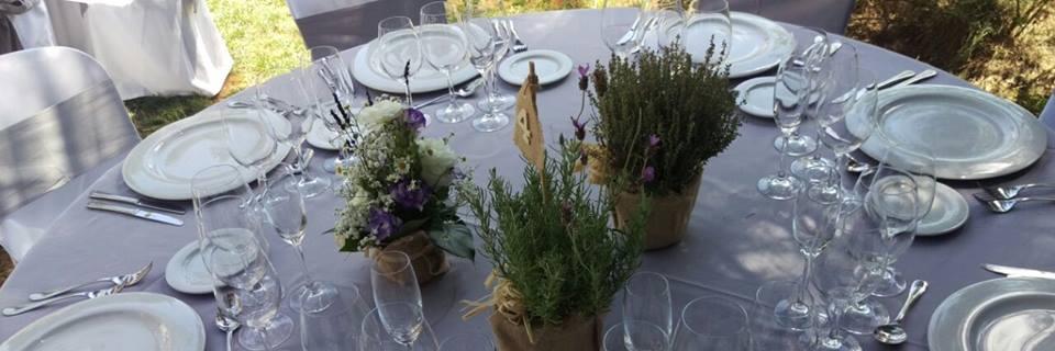 NovaT_Catering's profile banner image