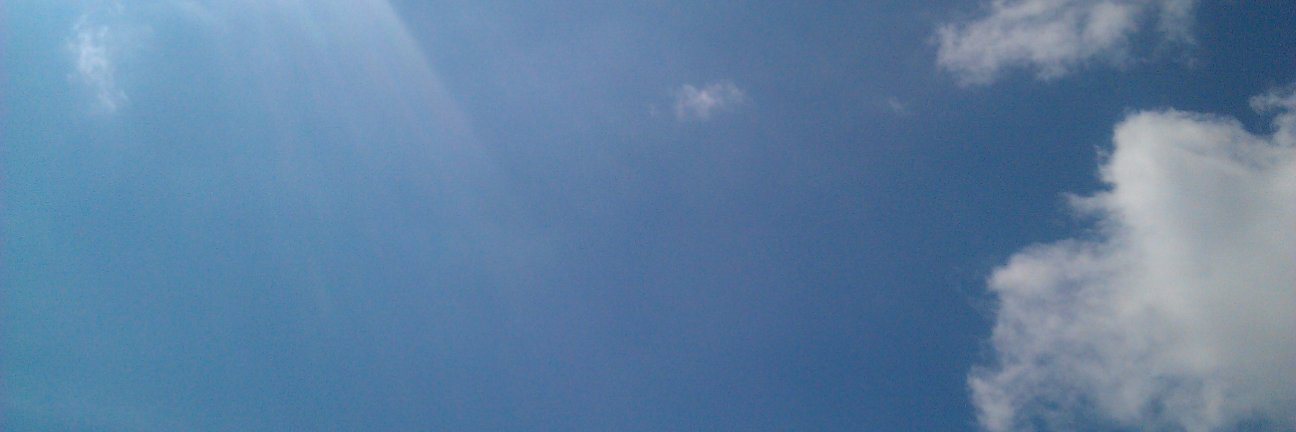 Maria Twigge banner