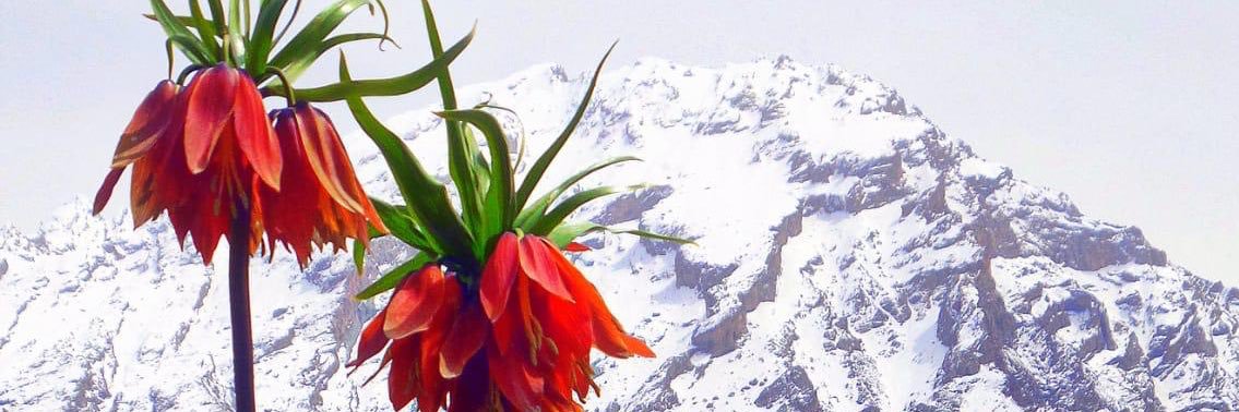 bkrasan's profile banner image