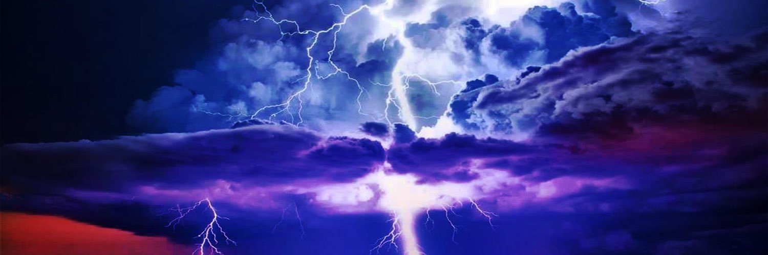 They Mostly Come Out at Night... Mostly banner