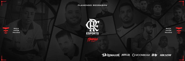 flaesports Profile Banner