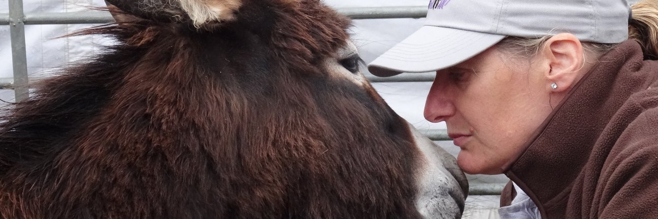 InfoMinidonks's profile banner image