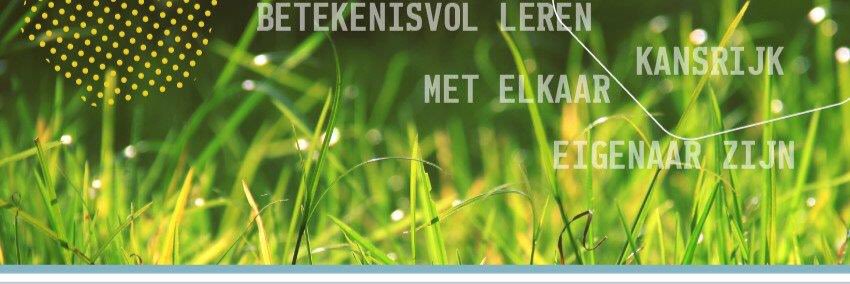 OBSdeGraswinkel's profile banner image