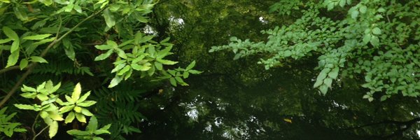 ro_ki_ Profile Banner