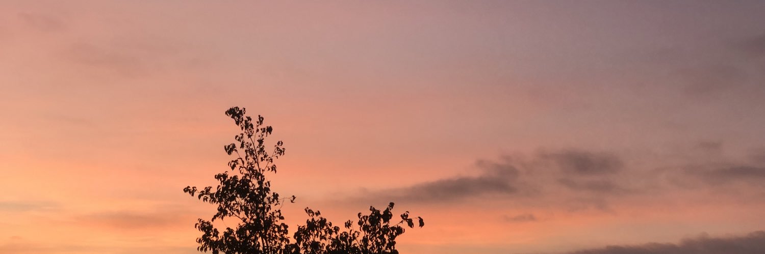 JavixdT's profile banner image