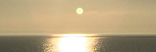 Fidget02 Profile Banner