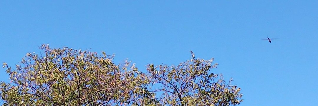 さわ@牡羊座 banner