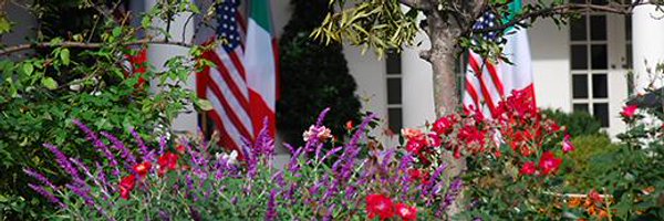 CiaoAmerica Profile Banner