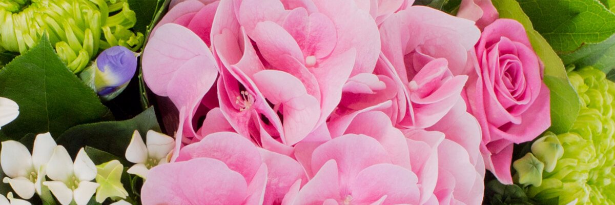 missmcollins's profile banner image