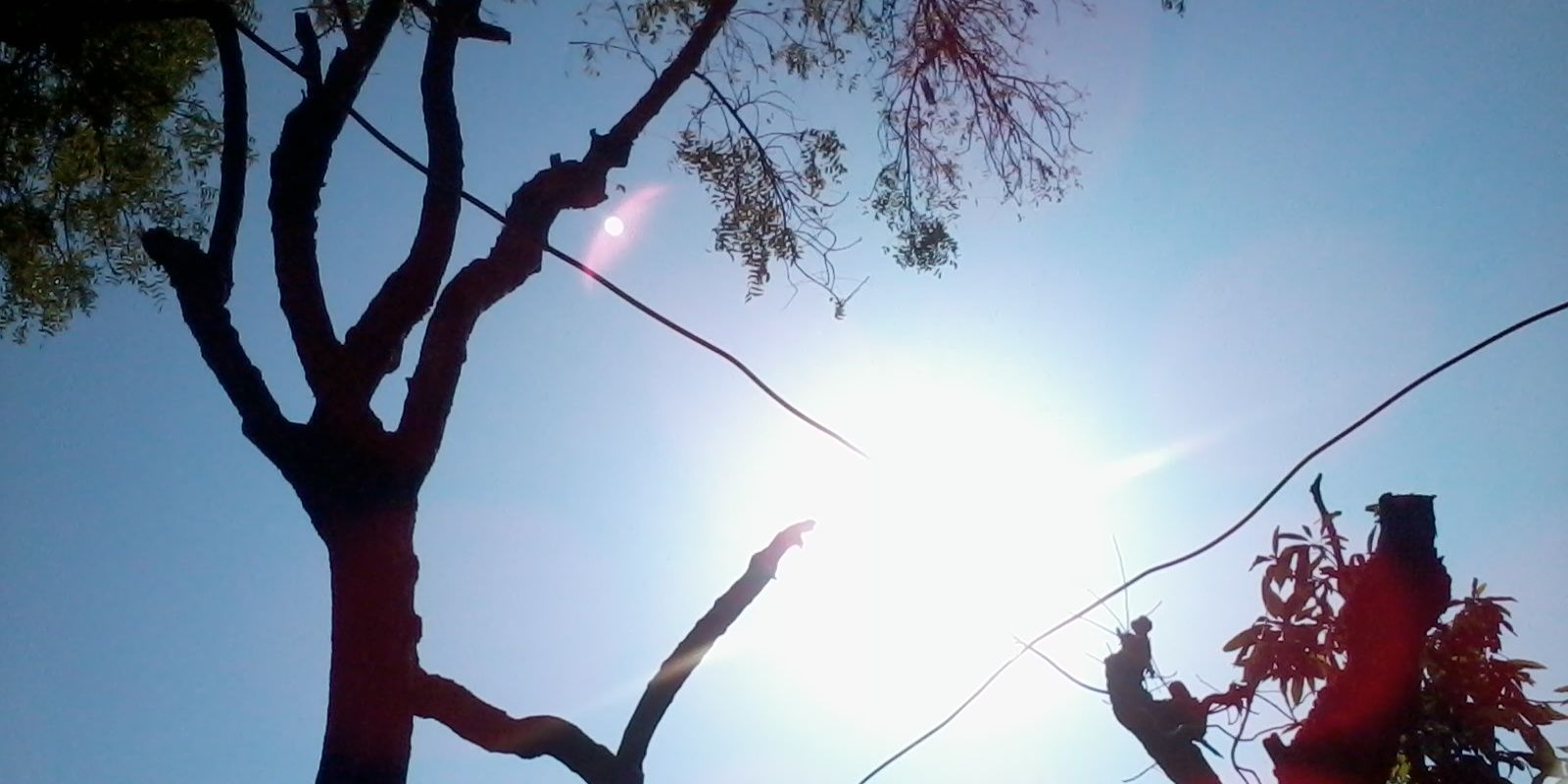 equilibrist_sny's profile banner image
