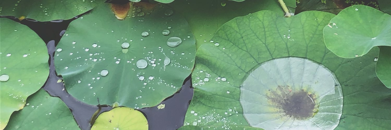 BagelBasset's profile banner image