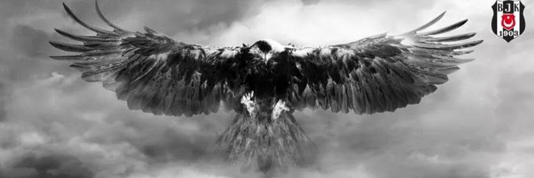 tayfunsagaz's profile banner image