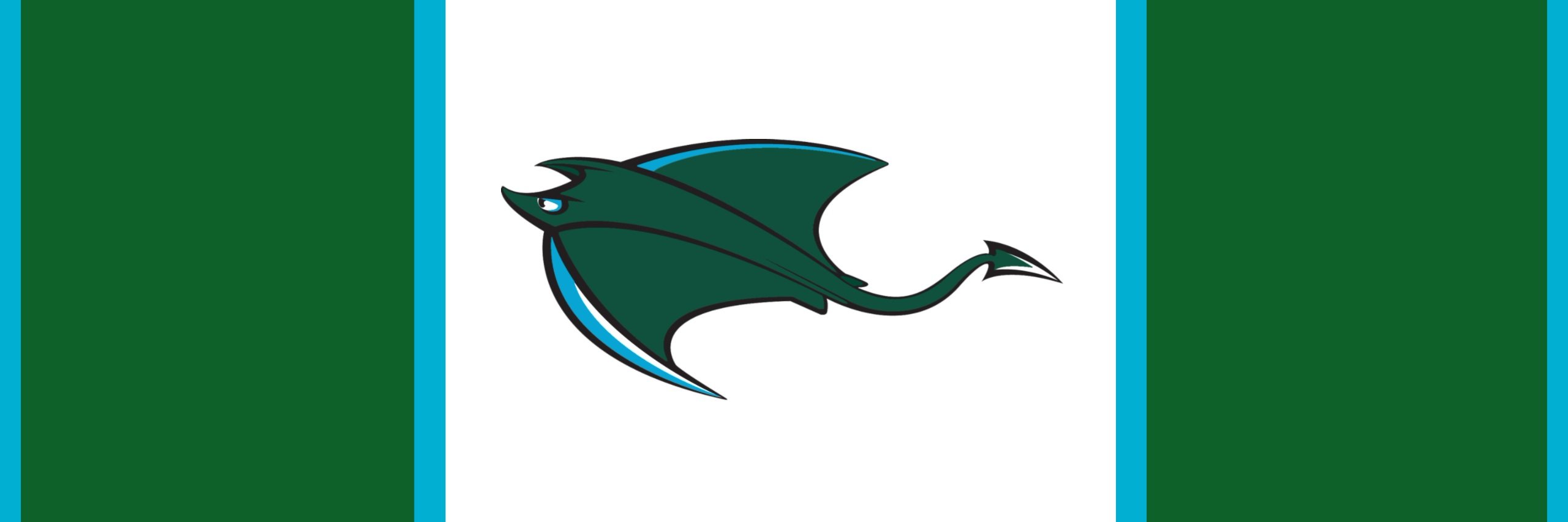 TNStingraysHMHL's profile banner image